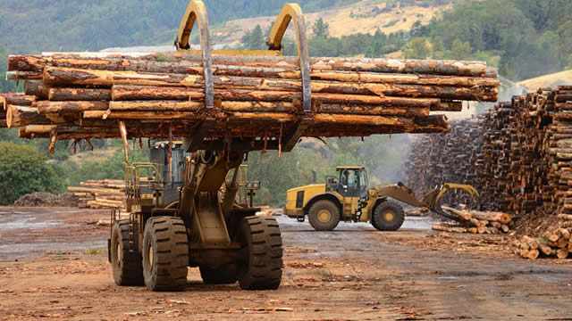 Weyerhaeuser (WY) to Report Q2 Earnings: What's in Store?