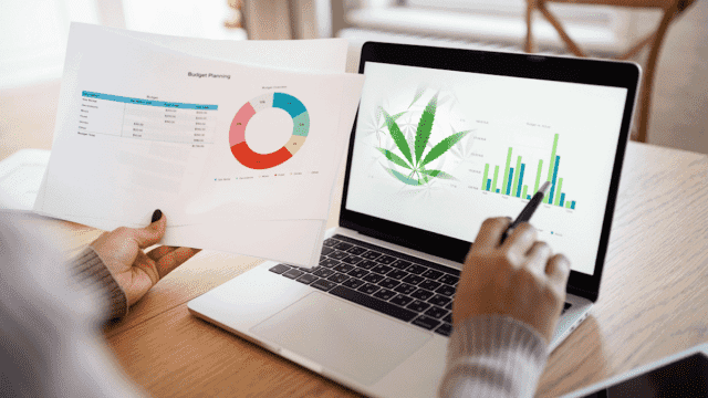 Top Canadian Cannabis Stocks to Watch Now: High-Growth Opportunities in 2024