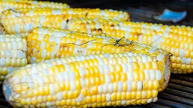 Corn prices touch a nearly 4-year low, then rise as USDA lifts demand forecast