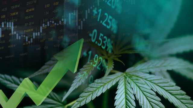 Understanding Cannabis ETFs' Wacky Divergence