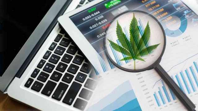 2024's Cannabis Investment Landscape: Top Marijuana ETFs to Consider