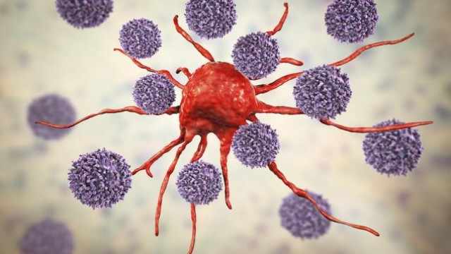 ALX Oncology (ALXO) Posts Upbeat Results From Lymphoma Study