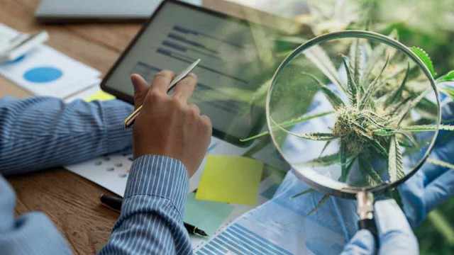 Top Ancillary Cannabis Stocks Poised for Growth in July 2024