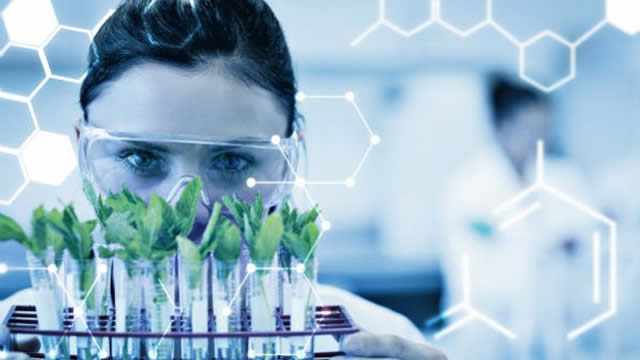 Allogene Therapeutics (ALLO) Up 6.4% Since Last Earnings Report: Can It Continue?