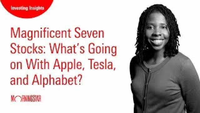 Magnificent Seven Stocks: What's Going on With Apple, Tesla, and Alphabet?