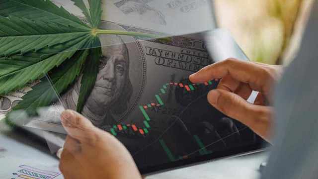 Here Are 3 Marijuana Stocks To Watch For Better Trading