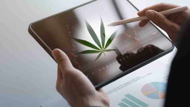 Top Ancillary Cannabis Stocks to Add to Your Watchlist Before August