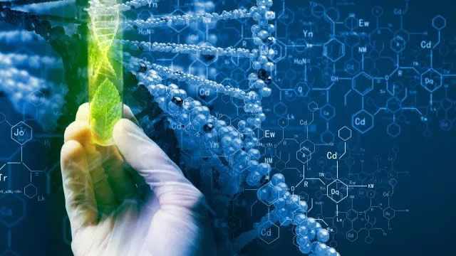 Will Trinity Biotech Stock Gain From Its Latest Patent Process?