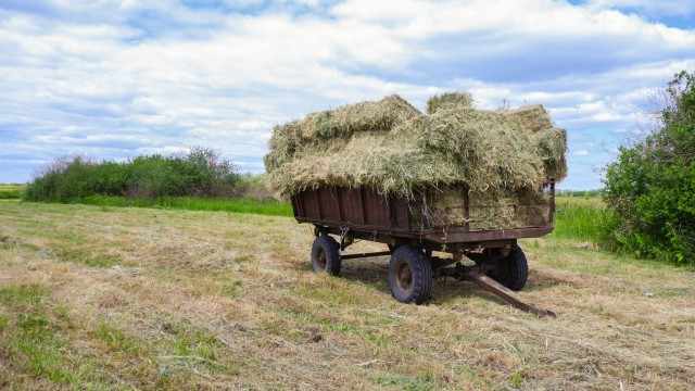 AMZY: Make Hay While The Sun Shines