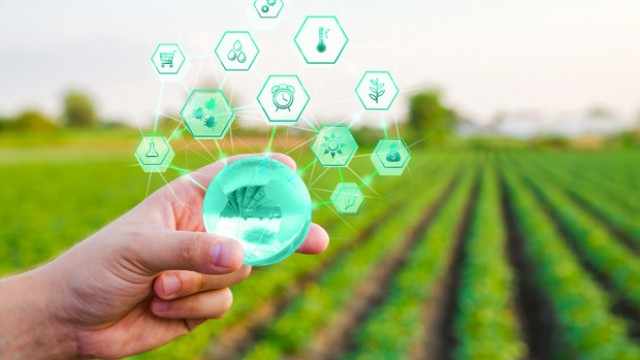 4 Agriculture - Products Stocks to Watch in a Thriving Industry