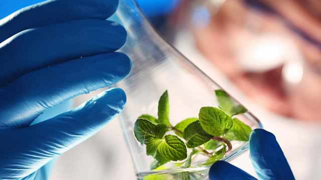 Puma Biotechnology's (PBYI) Q2 Loss Narrower Than Expected