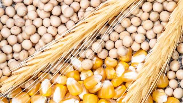 Brazil Executive Order Pushes Soybean, Corn Prices Higher
