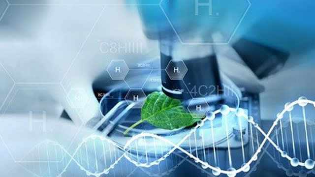 NewAmsterdam Pharma: Cholesterol Drug Treatment With Catalysts In 1-Year Period