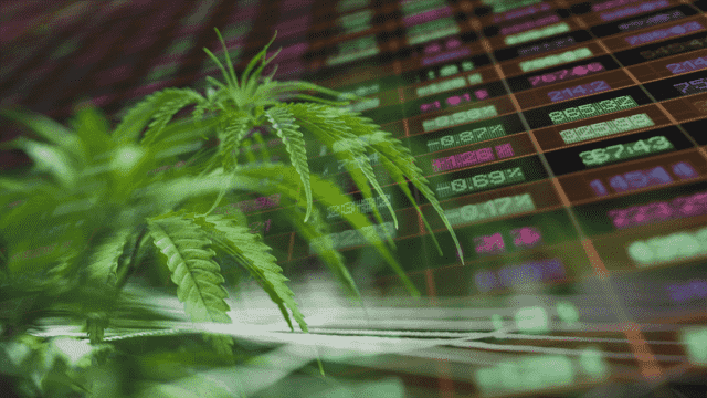 Ancillary Cannabis Stocks Leading the Hydroponics Market
