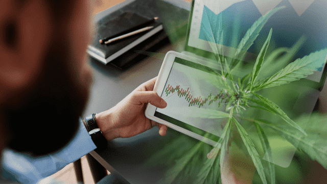 September 2024 Watchlist: Leading Cannabis REITs for Investment